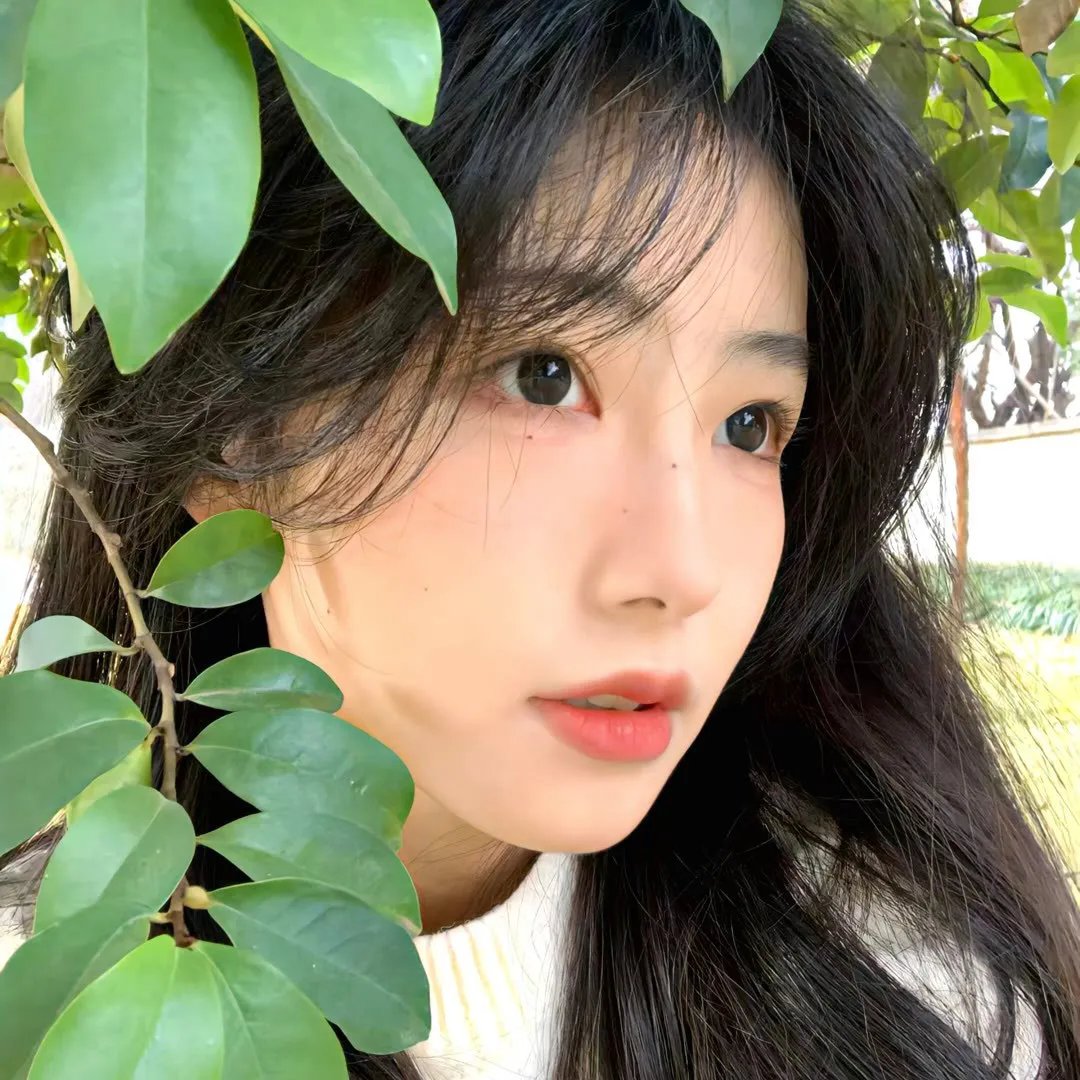 关于恶魔的一切